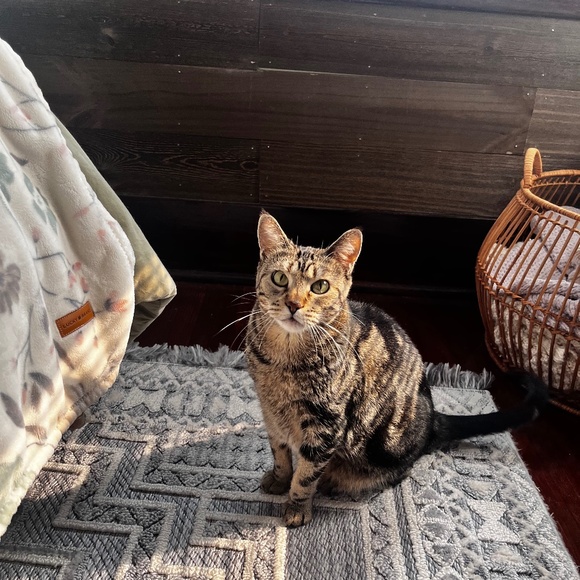 Meet your Posher, Samantha - Picture 11 of 13